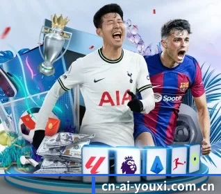 五大服务分区,信息按项目分类 | ayx
